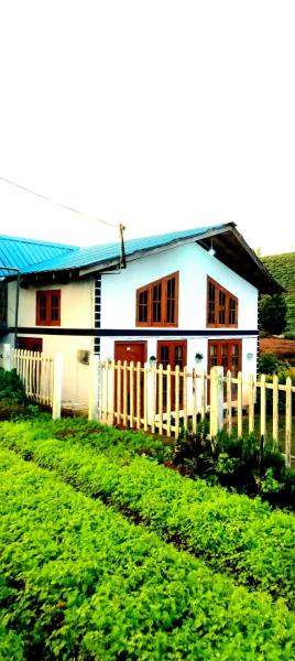 Dream wood villa01